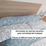 Con Balcon Centro Zona Artistica Homestay *
